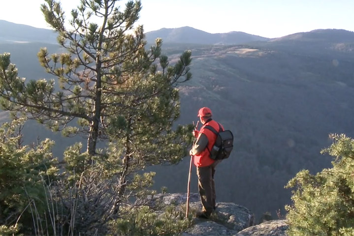 Visuel vidéo Comptage des cerfs au Mont Aigoual